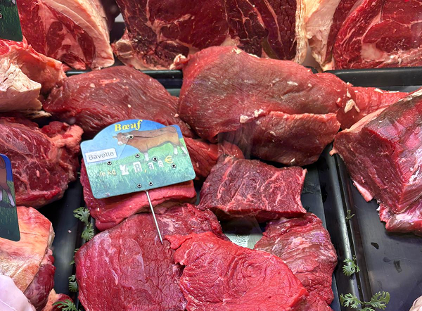 Boeuf limousin et boeuf angus à Sadirac (Gironde 33)